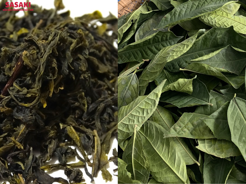 Ảnh so sánh lá chè sấy nhiệt với lá chè sấy thăng hoa