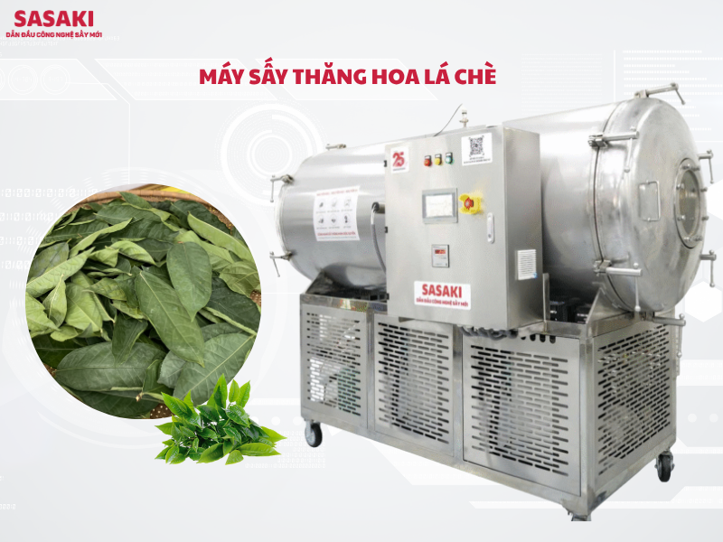 Máy sấy thăng hoa lá chè SASAKI - Giải pháp tối ưu cho doanh nghiệp sản xuất chè cao cấp