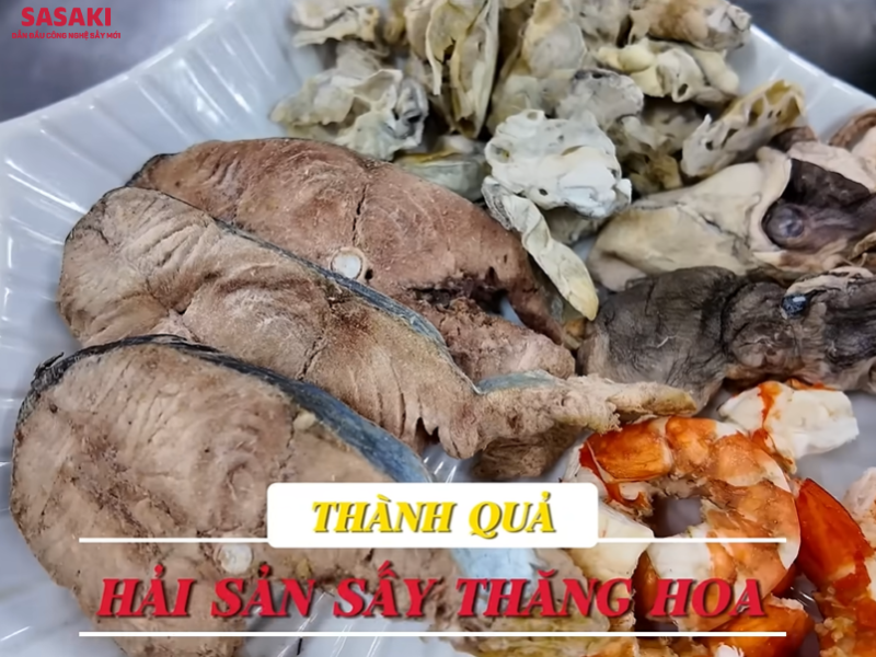 Các loại hải sản thích hợp để sấy thăng hoa bao gồm cá, mực, tôm, hàu, hải sâm