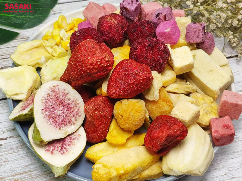 Máy sấy trái cây thăng hoa: Nâng tầm phân khúc trái cây sấy cao cấp
