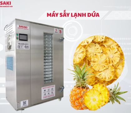 Máy sấy lạnh dứa giải pháp bảo quản dứa giữ nguyên hương vị và vitamin