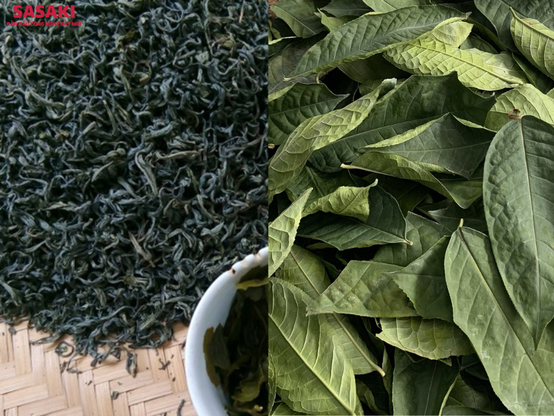 Lá chè sấy nhiệt (bên trái) và lá chè sấy lạnh (bên phải)
