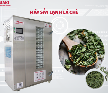 Máy sấy lạnh lá chè sấy khô, bảo toàn hoạt chất và hương thơm