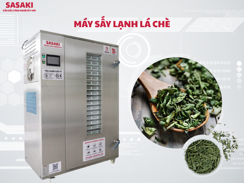 Máy sấy lạnh lá chè sấy khô, bảo toàn hoạt chất và hương thơm