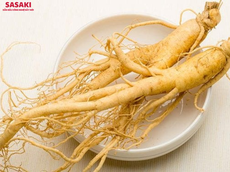 Sâm từ lâu được xem là “thần dược” trong y học, mang đến nhiều lợi ích cho sức khỏe
