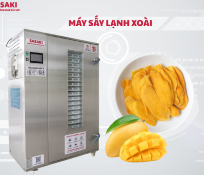 Máy sấy lạnh xoài bí quyết làm xoài sấy dẻo thơm, vàng đẹp