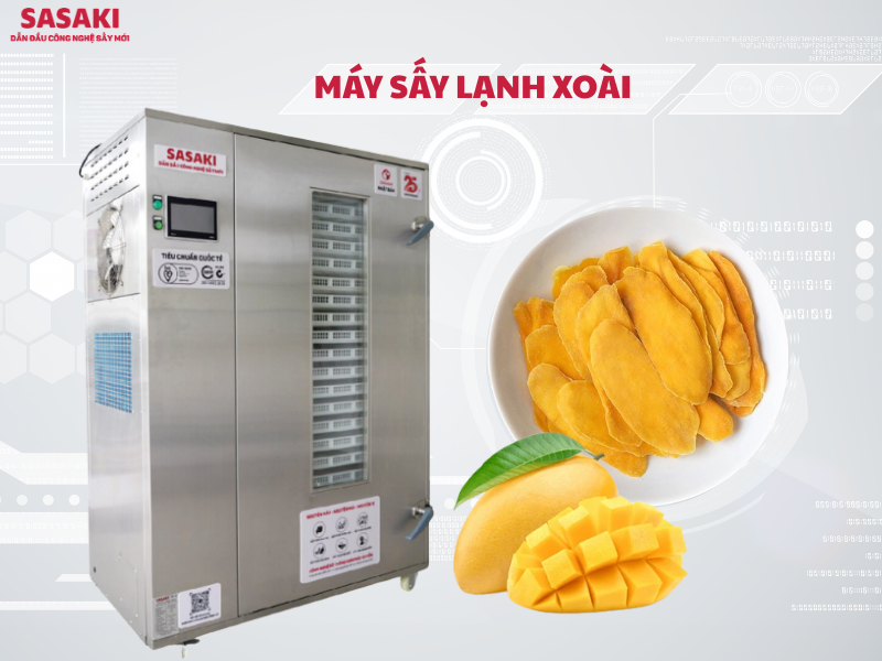 Máy sấy lạnh xoài bí quyết làm xoài sấy dẻo thơm, vàng đẹp