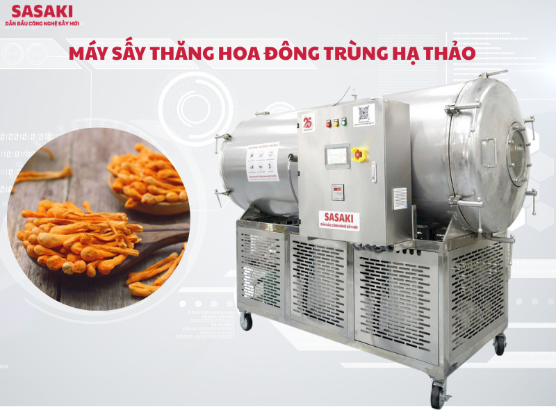 Máy sấy thăng hoa SASAKI - Nâng tầm chất lượng và giá trị đông trùng hạ thảo