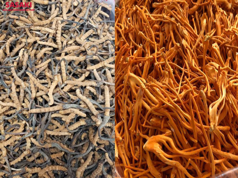 Đông trùng hạ thảo sấy nhiệt (bên trái) và đông trùng hạ thảo sấy thăng hoa (bên phải)