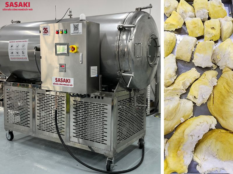 Nhu cầu máy sấy thăng hoa tại TP. HCM tăng trưởng mạnh trong những năm gần đây