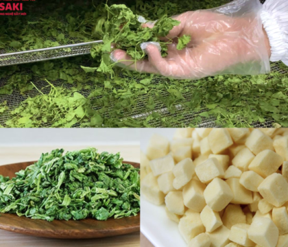 Máy sấy thăng hoa Ninh Bình – Sấy rau củ và dược liệu địa phương