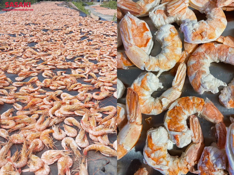 Tôm sấy truyền thống (bên trái) và tôm sấy thăng hoa (bên phải)