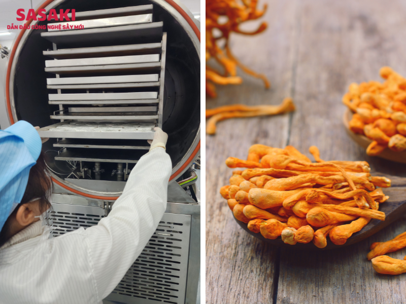 Nhiều doanh nghiệp tại Vĩnh Phúc lựa chọn máy sấy thăng hoa chế biến các loại dược phẩm quý