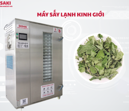 Máy sấy lạnh kinh giới giữ nguyên hương vị, dược tính, bảo quản lâu dài