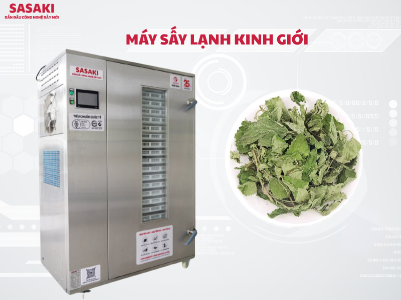 Máy sấy lạnh kinh giới giữ nguyên hương vị, dược tính, bảo quản lâu dài