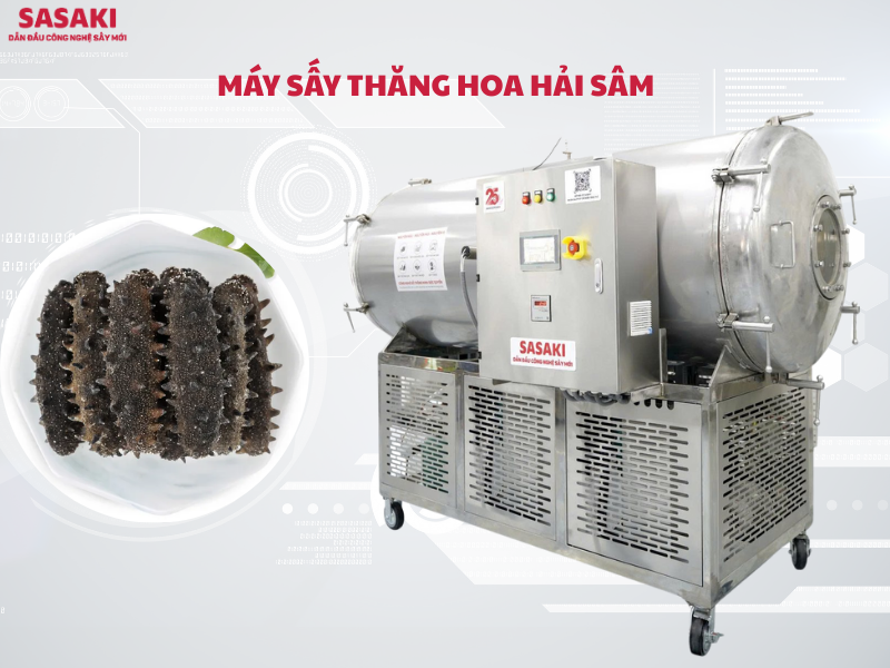 Máy sấy thăng hoa hải sâm màu đẹp, không co rút, bảo quản 5 năm