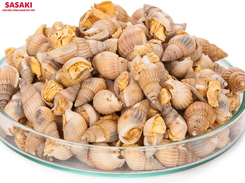 Ốc sấy thăng hoa giữ nguyên màu sắc, cấu trúc và giúp kéo dài thời gian bảo quản
