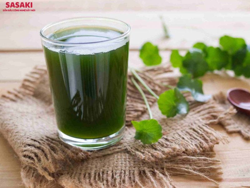 Rau má sấy thăng hoa có thể ứng dụng để làm bột rau má pha uống