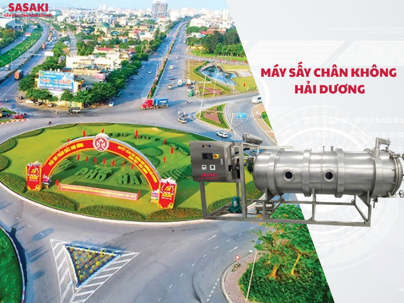 Máy sấy chân không Hải Dương cho nông sản, dược liệu cao cấp