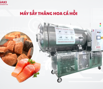 Máy sấy thăng hoa cá hồi nâng tầm chất lượng, bảo quản cá hồi lâu dài
