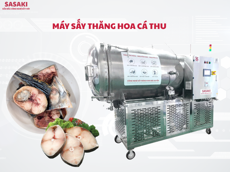 Máy sấy thăng hoa cá thu sấy đông khô cá biển đạt chuẩn xuất khẩu