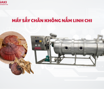 Máy sấy chân không nấm linh chi giữ trọn dược tính, nâng tầm giá trị
