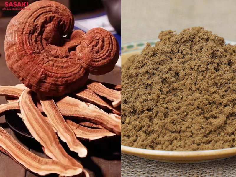 Máy sấy chân không có thể ứng dụng sấy nấm linh chi nguyên tai, thái lát hoặc dạng bột mịn