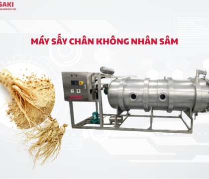 Máy sấy chân không nhân sâm, giải pháp giữ trọn hoạt chất Ginsenosides
