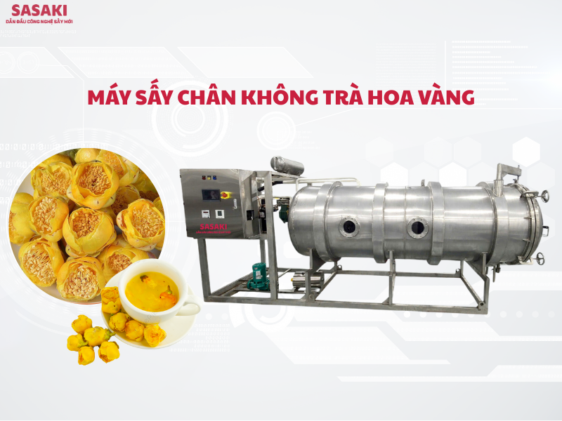 Máy sấy chân không trà hoa vàng giữ trọn dược tính và màu sắc