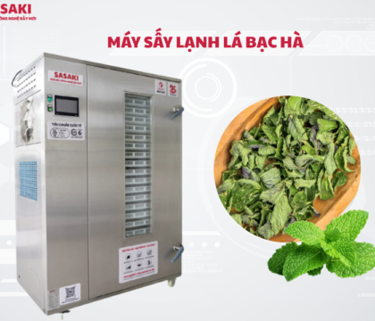 Máy sấy lạnh lá bạc hà giữ trọn tinh dầu, hương thơm và màu sắc