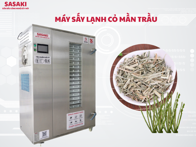 Máy sấy lạnh cỏ mần trầu giải pháp sấy dược liệu hiệu quả
