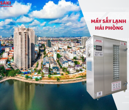 Máy sấy lạnh Hải Phòng – Giải pháp sấy hiện đại, tiết kiệm điện năng