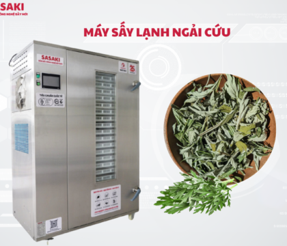 Máy sấy lạnh ngải cứu giữ trọn dược tính, kéo dài thời gian bảo quản