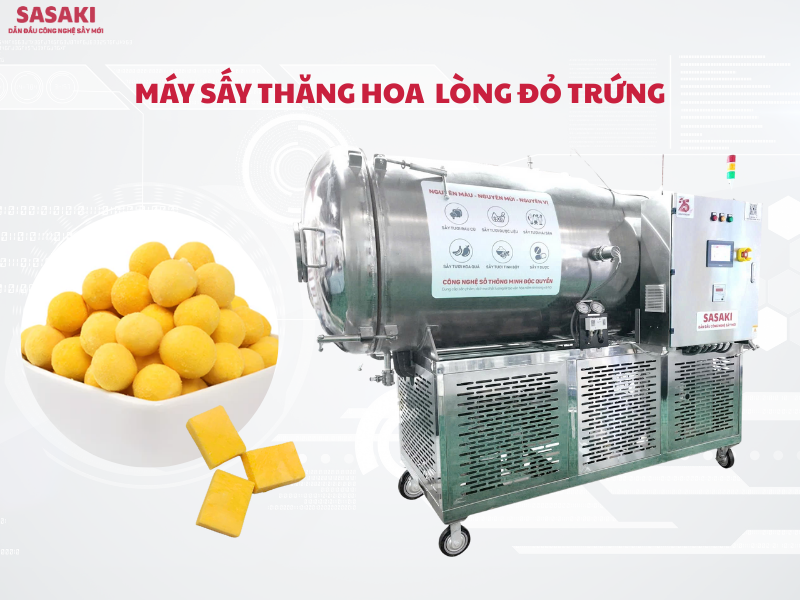 Máy sấy thăng hoa lòng đỏ trứng giữ trọn dinh dưỡng, màu vàng tự nhiên