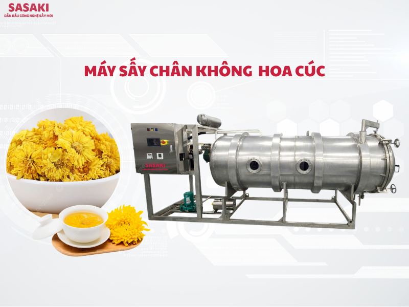 Máy sấy chân không hoa cúc giữ nguyên tinh dầu, bảo toàn dược tính