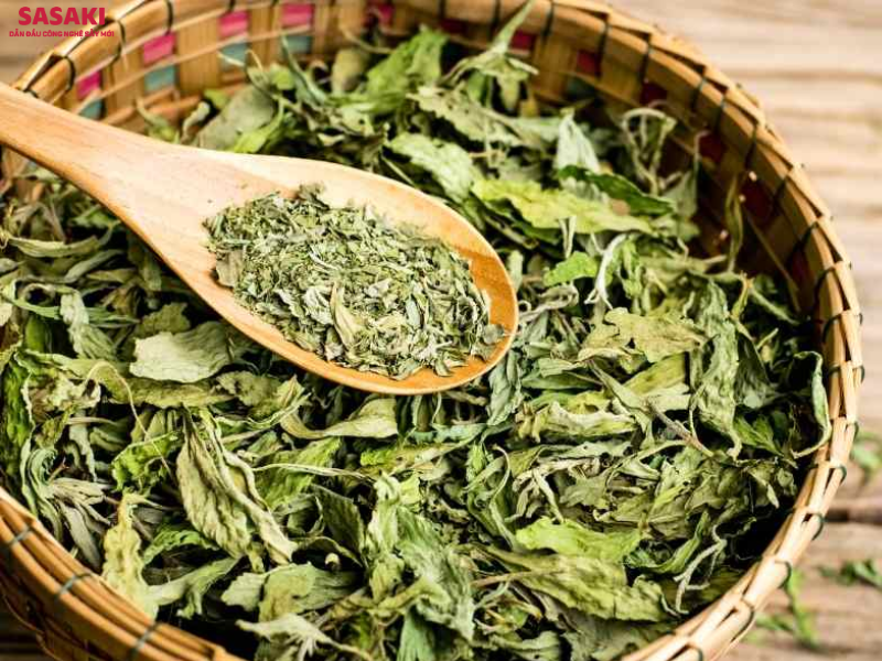 Cỏ ngọt sấy lạnh giữ nguyên màu sắc, hương thơm và 95% giá trị dược tính