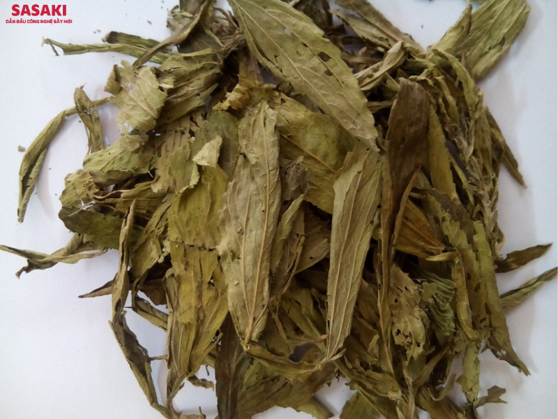 Cỏ ngọt phơi nắng dễ bị ngả màu, đồng thời khó kiểm soát bụi bẩn, côn trùng từ môi trường xung quanh