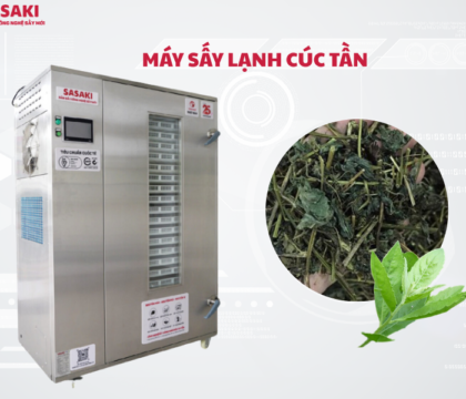 Máy sấy lạnh cúc tần giữ nguyên tinh dầu và giá trị dược tính