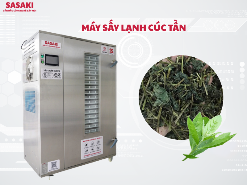 Máy sấy lạnh cúc tần giữ nguyên tinh dầu và giá trị dược tính