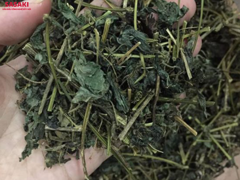 Công nghệ sấy lạnh giúp giữ nguyên màu sắc, hương thơm và 95% giá trị dược tính trong cúc tần