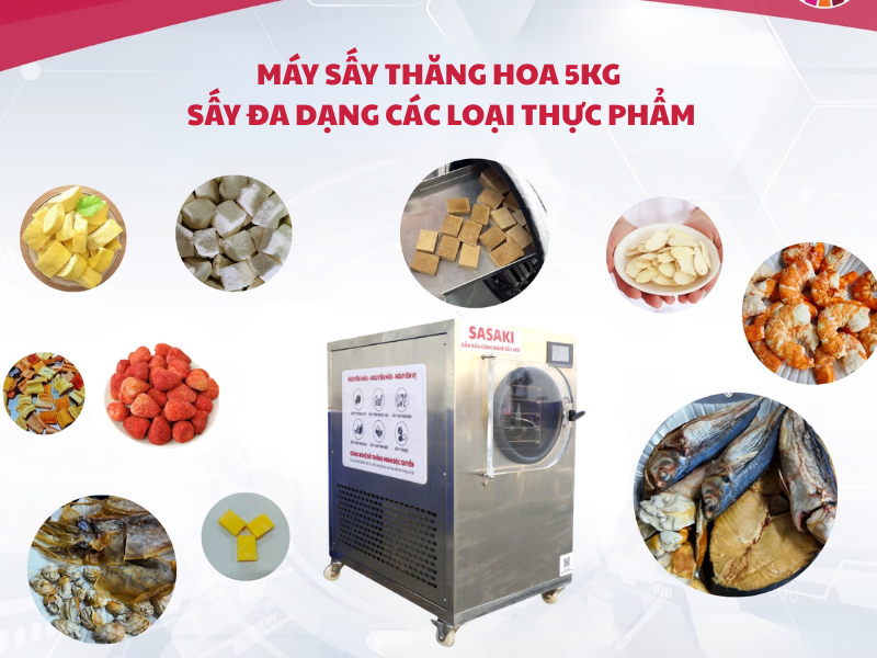Máy sấy thăng hoa 5kg thực phẩm hiện đại, giữ trọn dinh dưỡng