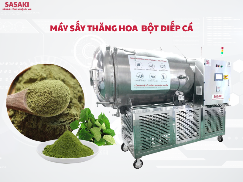 Máy sấy thăng hoa bột diếp cá giữ trọn dưỡng chất, màu xanh tự nhiên