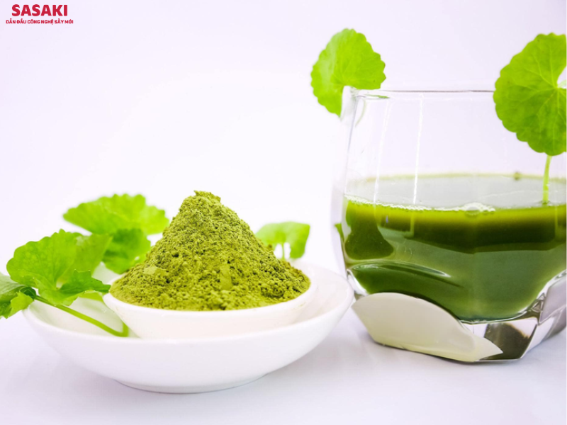 Bột rau má sấy bằng công nghệ thăng hoa khi pha dễ hòa tan và giữ màu xanh tươi tự nhiên