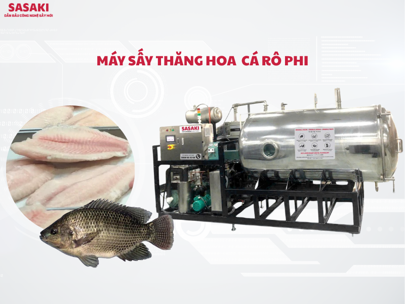 Máy sấy thăng hoa cá rô phi – Công nghệ sấy giữ trọn dinh dưỡng