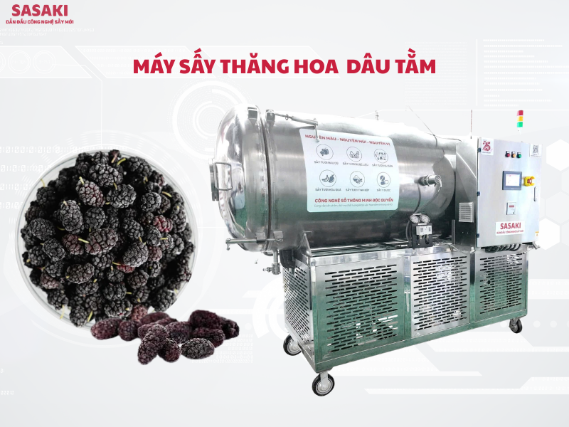 Máy sấy thăng hoa dâu tằm cho HTX và doanh nghiệp xuất khẩu