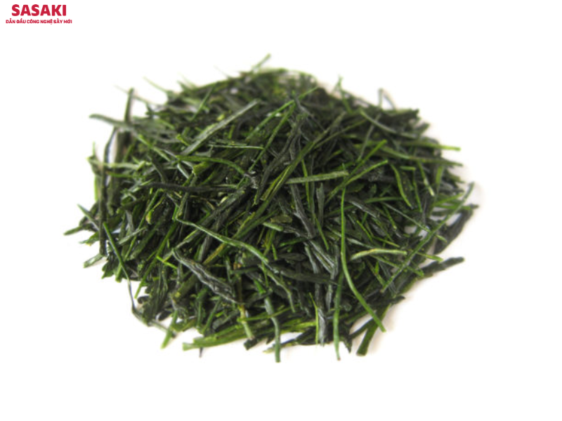 Lá chè Sencha tươi rất nhạy cảm với nhiệt độ và tác động trong quá trình sấy