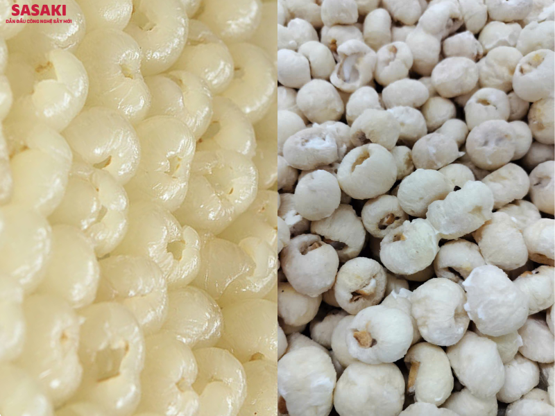 Ảnh nhãn tươi (bên trái) và nhãn sau khi sấy thăng hoa (bên phải)