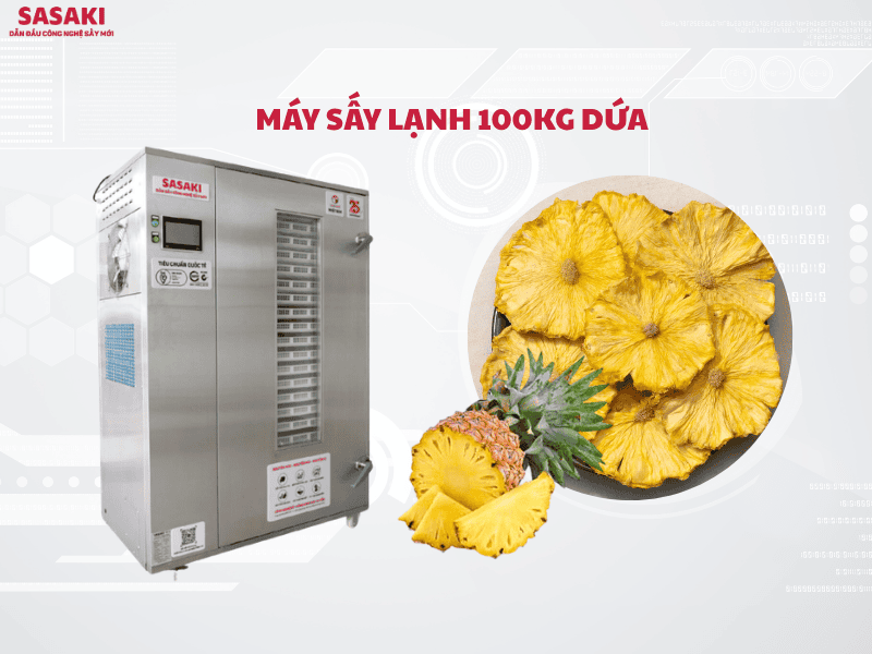 Máy sấy lạnh 100kg dứa – Giải pháp sấy dứa dẻo, thơm xuất khẩu