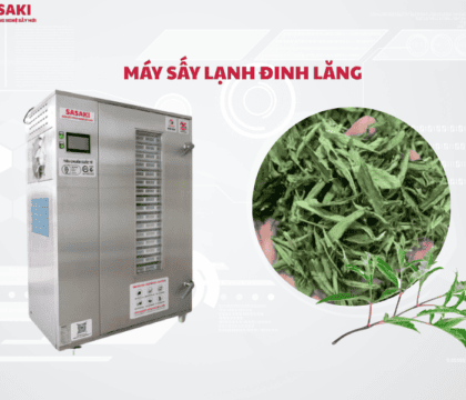 Máy sấy lạnh đinh lăng – Giải pháp giữ trọn dược tính & tối ưu giá trị kinh tế