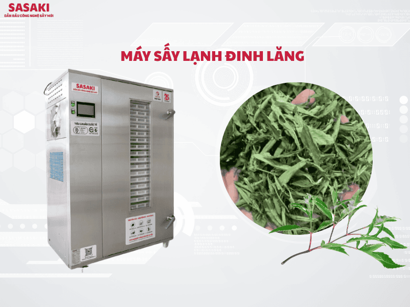 Máy sấy lạnh SASAKI - Giải pháp giữ trọn dược tính và tối ưu giá trị kinh tế của đinh lăng